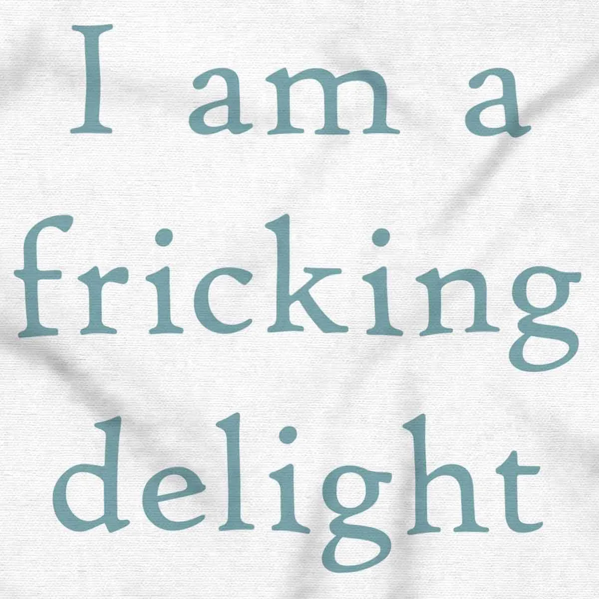 Brisco Brands Funny I Am A Fricking Delight Joke Zip Up Hoodie Mens Womens